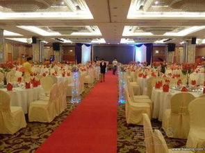 南沙盛典 專業會議及展覽服務，開啟灣區新篇章